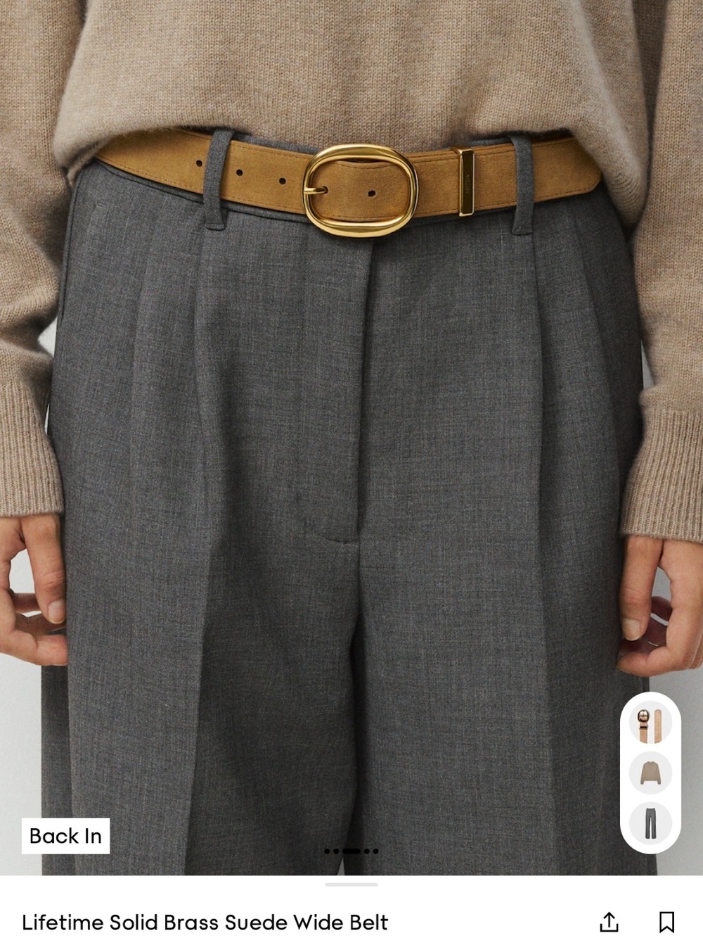 Aritzia Lifetime Solid Brass Suede Wide Belt